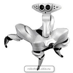RoboQuad (8039)